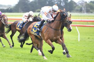Trainers still weighing up Trentham option