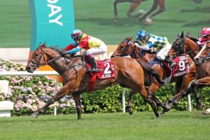 Wellington ready to challenge for Hong Kong Sprint