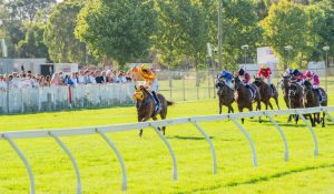 Buster Bash thrashes rivals in Group 2 Perth Cup