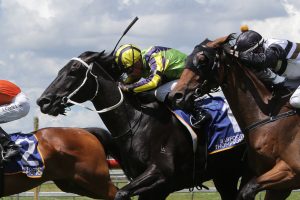 Cruz Missile adds to Marsh’s Salver collection at Pukekohe