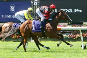 Dunkel gets off the canvas for Flemington win