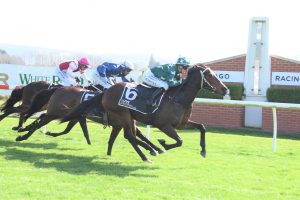 Elsie May out to cause Guineas upset