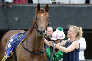 Light 2YO campaign for Ethereal Star
