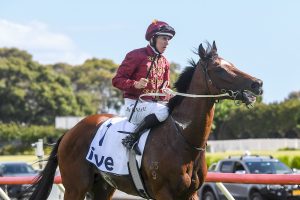 Class prevails as Jacquinot claims Manfred Stakes