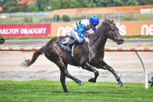 Jigsaw piecing it together ahead of Australia Stakes