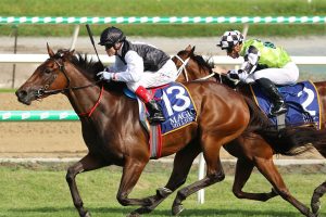 Latakia to back it up in the Magic Millions Guineas after big win