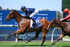 Learning To Fly wins Widden Stakes