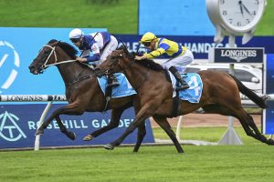 Logan Street Lion shows heart with strong win at Rosehill
