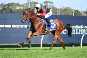 Mariamia storms clear to take out Expressway Stakes