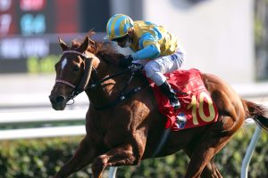 Mr Ascendency delivers Chinese New Year glory for Yiu, De Sousa