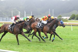 Soldier Boy produces strong performance to claim Marton Cup