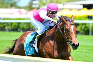 Gollan couldn't be happier Magic Millions 2YO filly Skirt The Law