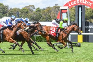 De Sonic Boom blows them away on debut in Blue Diamond Preview