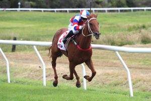 Hannan fulfils owner's dream with Kumara Gold Nuggets victory
