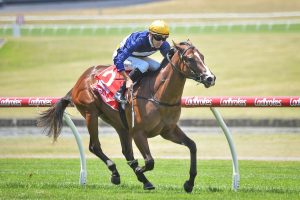 The Instructor leads all the way in the Blue Diamond Preview