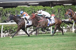 Top Top Tea continues Wrote roll by winning at Happy Valley