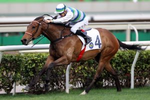 More to come from Voyage Bubble ahead of Hong Kong Classic Mile