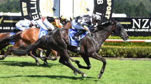 Sharrock eyes the future as he prepares three for Wellington Cup