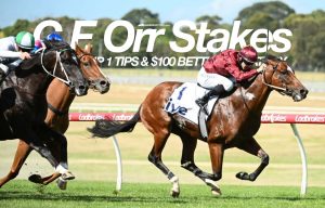 2023 C.F. Orr Stakes preview & betting strategy | February 11