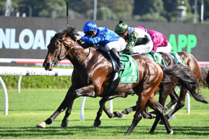 Anamoe doesn’t miss a beat in Apollo Stakes win
