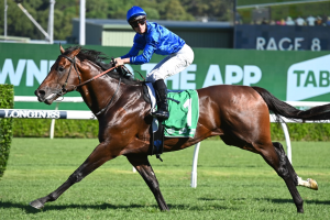Anamoe makes a mess of them in Chipping Norton Stakes