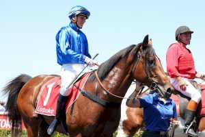 Barber draws perfectly for Blue Diamond Stakes