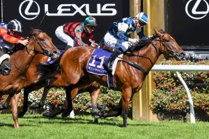 Coolangatta and Cannonball 'bloused' at Ascot in King's Stand Stakes