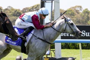 Glint Of Silver causes boilover in Group 2 Autumn Stakes