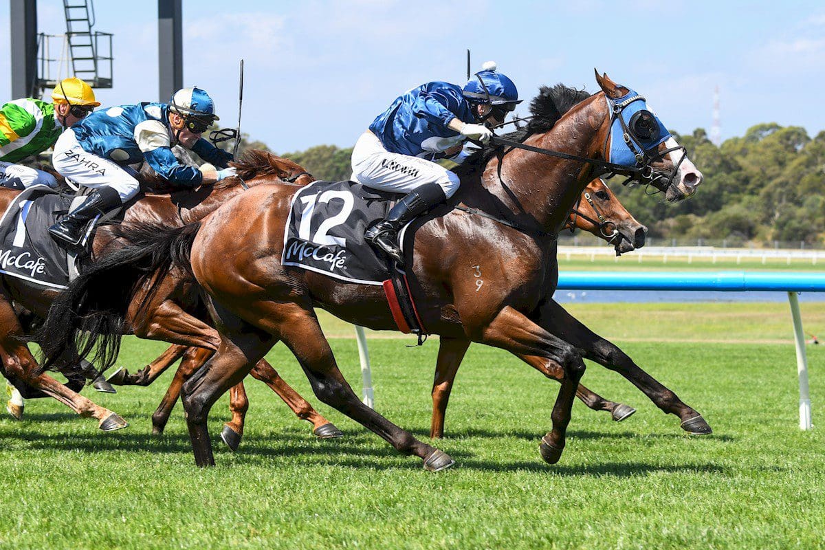 Lofty Strike wins Rubiton Stakes