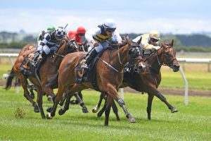 Trainers ponder next move with Prowess