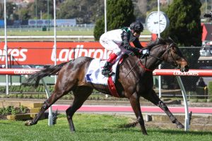 Mr Brightside continues to impress at Lindsay Park