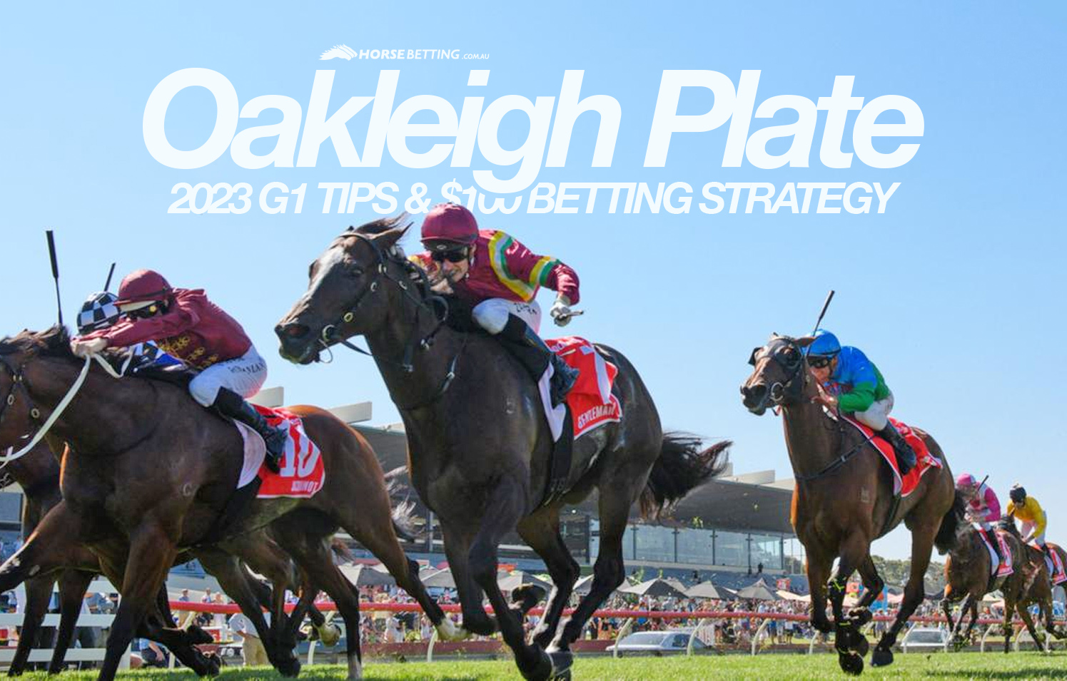 Oakleigh Plate betting