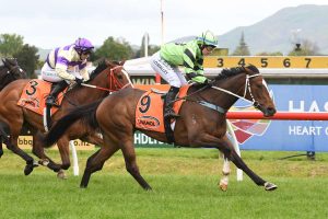 Pennyweka primed for Lowland Stakes