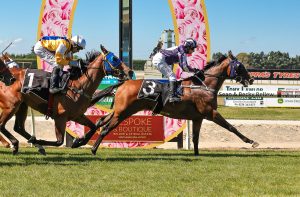 Press Charges upsets in Southland Guineas