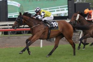 Prowess out of Derby