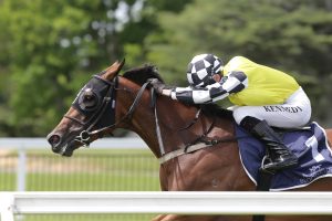 Prowess displays all her class at Te Rapa