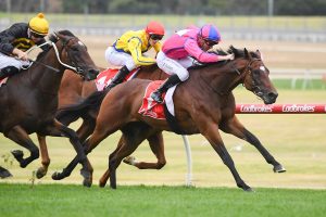 Recommendation causes minor boil over in Group 3 Zeditave Stakes