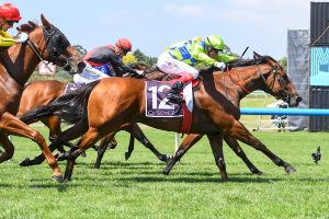 Rich Fortune out to cause Group 1 upset