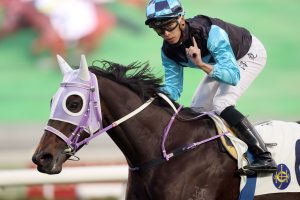 Super Sunny Sing prepares to shine in Hong Kong Classic Cup