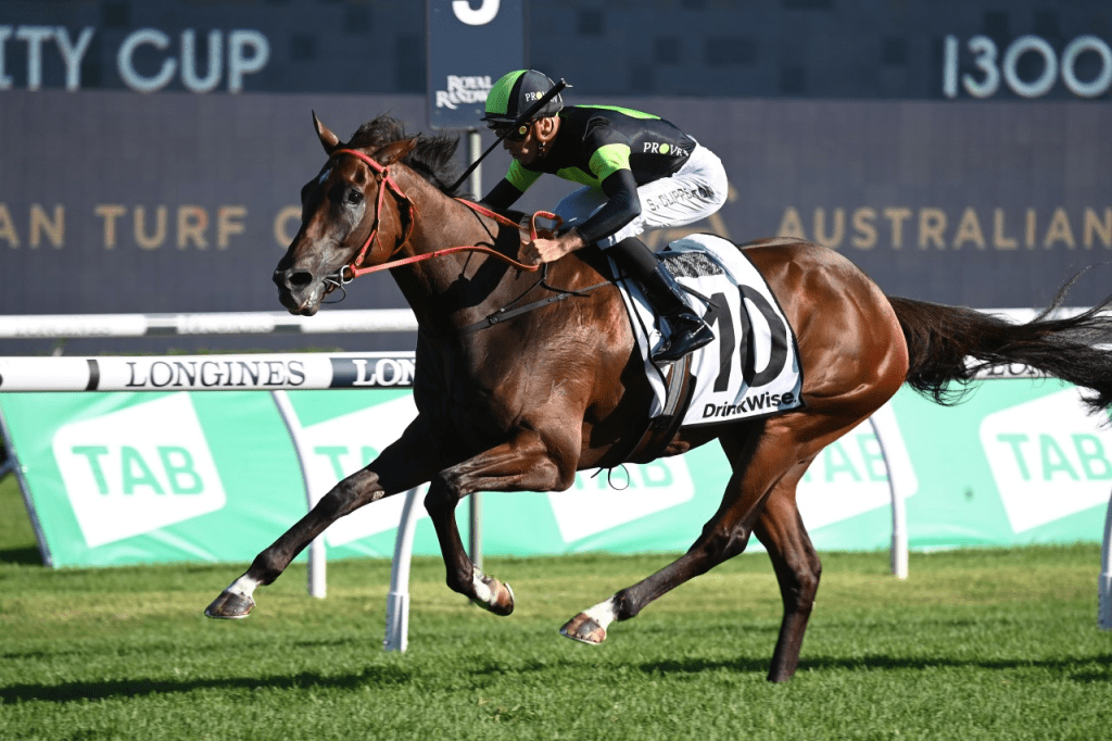 Horse Racing News Australia | AU Racing Headlines 2023