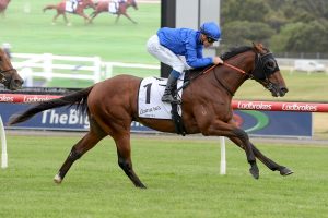 Zulfiqar punches his ticket to the Blue Diamond