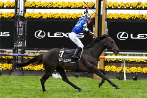 Gold Trip to return in Peter Young Stakes