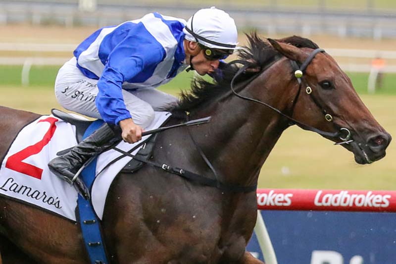 Alligator Blood is well backed for the Doncaster Mile