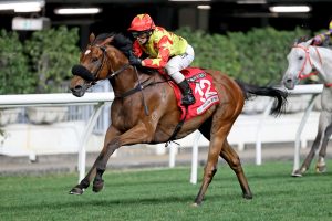 Astrologer shoots for back-to-back wins at the Valley