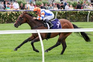 Bossy Nic dominates in Group 3 Thoroughbred Breeders Stakes