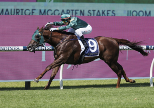 Cannonball blows them away in the Maurice McCarten Stakes