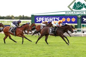 Champagne Stakes option for Cu Chulainn