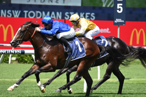 Cylinder proves too tough in Group 2 Todman Stakes