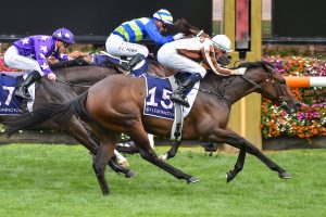 Legarto flashes home to take out dramatic Australian Guineas win