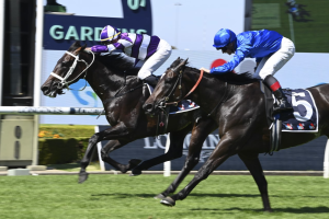 Lindermann makes every post a winner in Rosehill Guineas victory